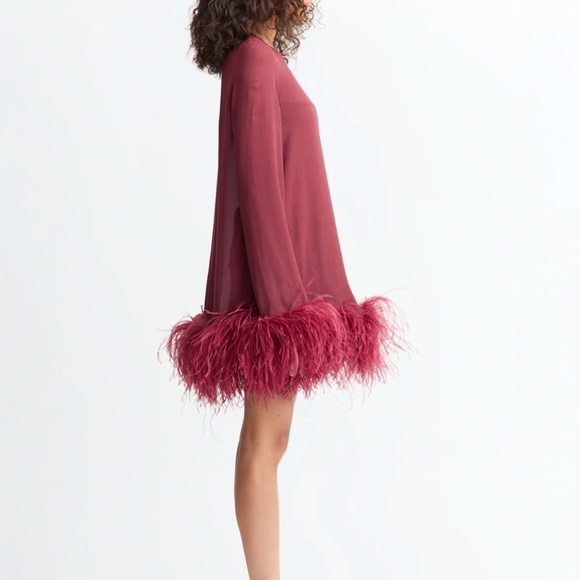 72. 16ARLINGTON Hodi Mini Dress Georgette Feather Mini BORGOGNA $1260 NWT Sz 2 - Picture 4 of 9